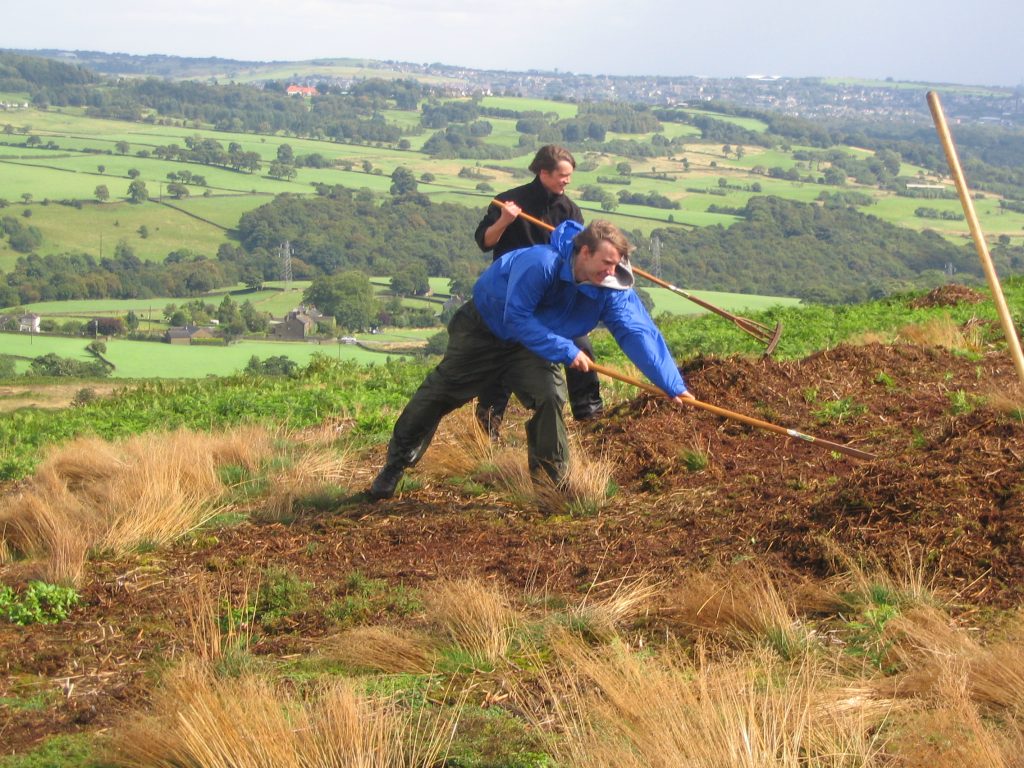 Two people raking bracken on Baildon Moor on a windy summer day. They are using traditional wooden rakes.