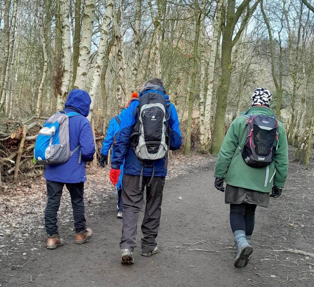 the backs of four members of the group as they walk through birch woodland with deadhedging along the side of the path 