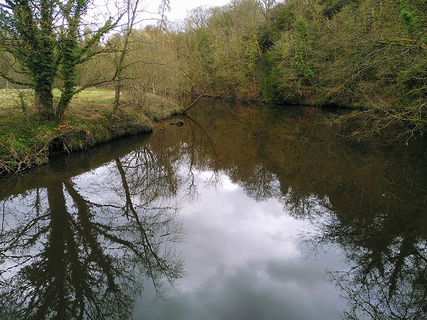 WFV Conyngham Hall Tree Trail, Knaresborough 25.03.2025 