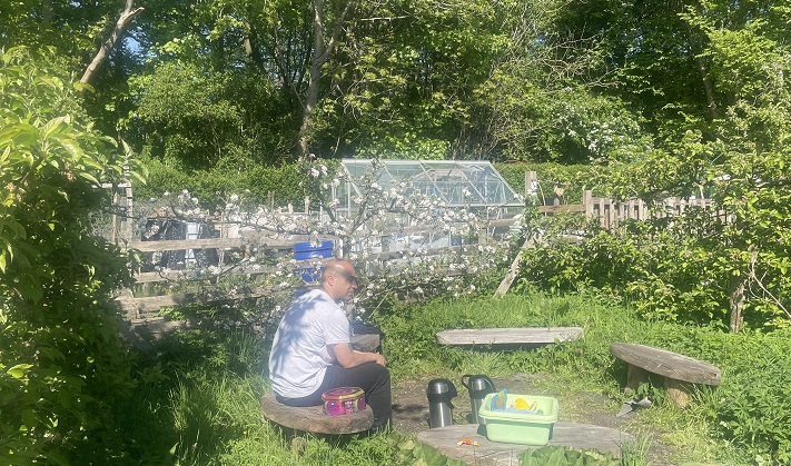 photo of man sitting on wooden bench beside pear blossom
