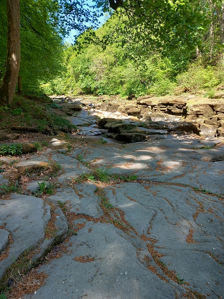 image of dry stone bed of River Wharfe with trees in the background. Bright, sunny day