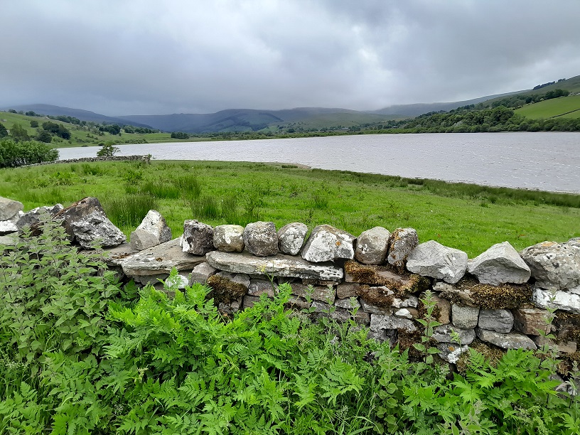 WFV June 17th 2025, Marsett Hill and Semerwater