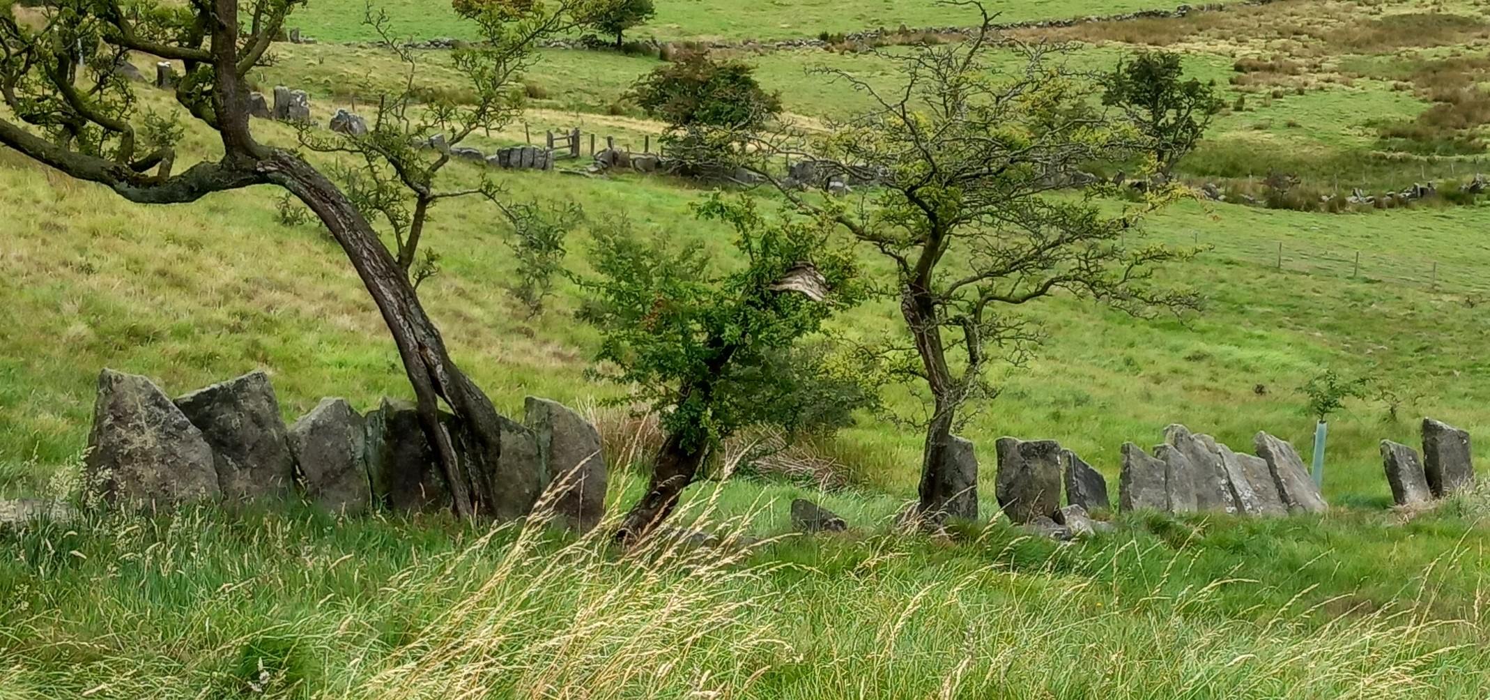 WFV, Tuesday 19th August, Ball Grove Local Nature Reserve and Wycoller Country Park