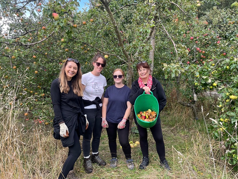 NG Bailey’s people team sent a group of wonderful corporate volunteers to collect apples and maintain our organic orchard