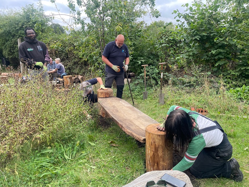 image of a new wooden bench in an orchard 