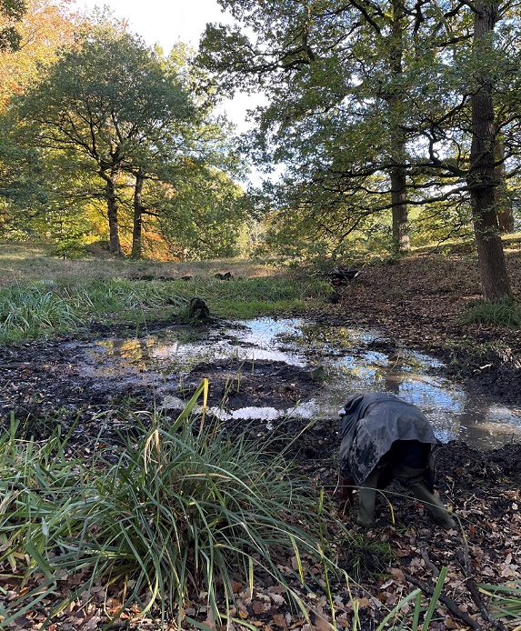 Conservation Volunteers cleared the woodland pond in Stoney Ridge plantation