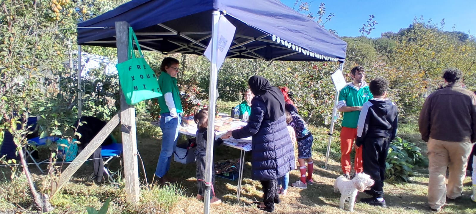 Climate Change Initiatives