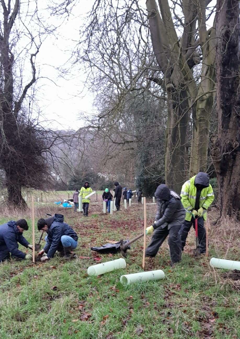 BEES have thoroughly enjoyed several days of winter tree and shrub planting at Equality for All CIC in Rawdon.