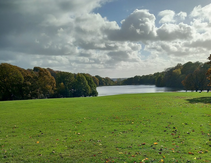 WFV, Roundhay Park, Leeds, 4.11.25