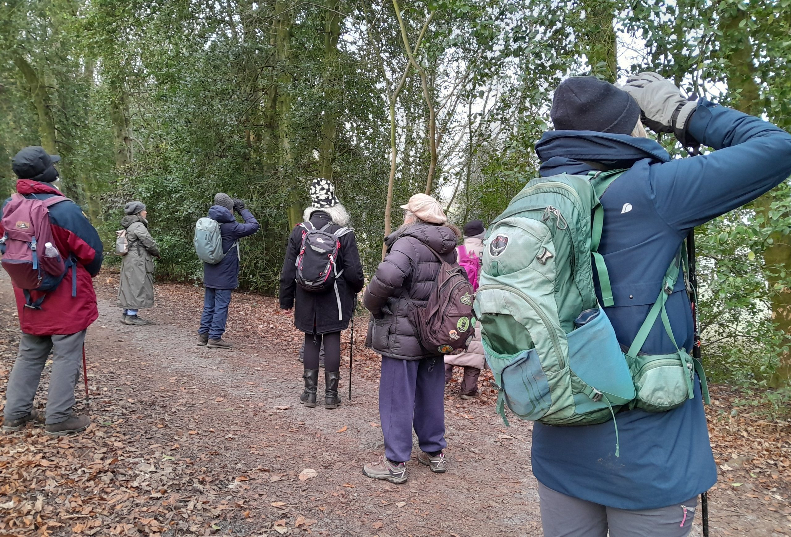 WFV, New Year’s Walk, Milner Field 6.1.26