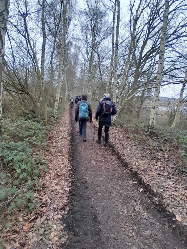 Two people walking away on a winter woodland path