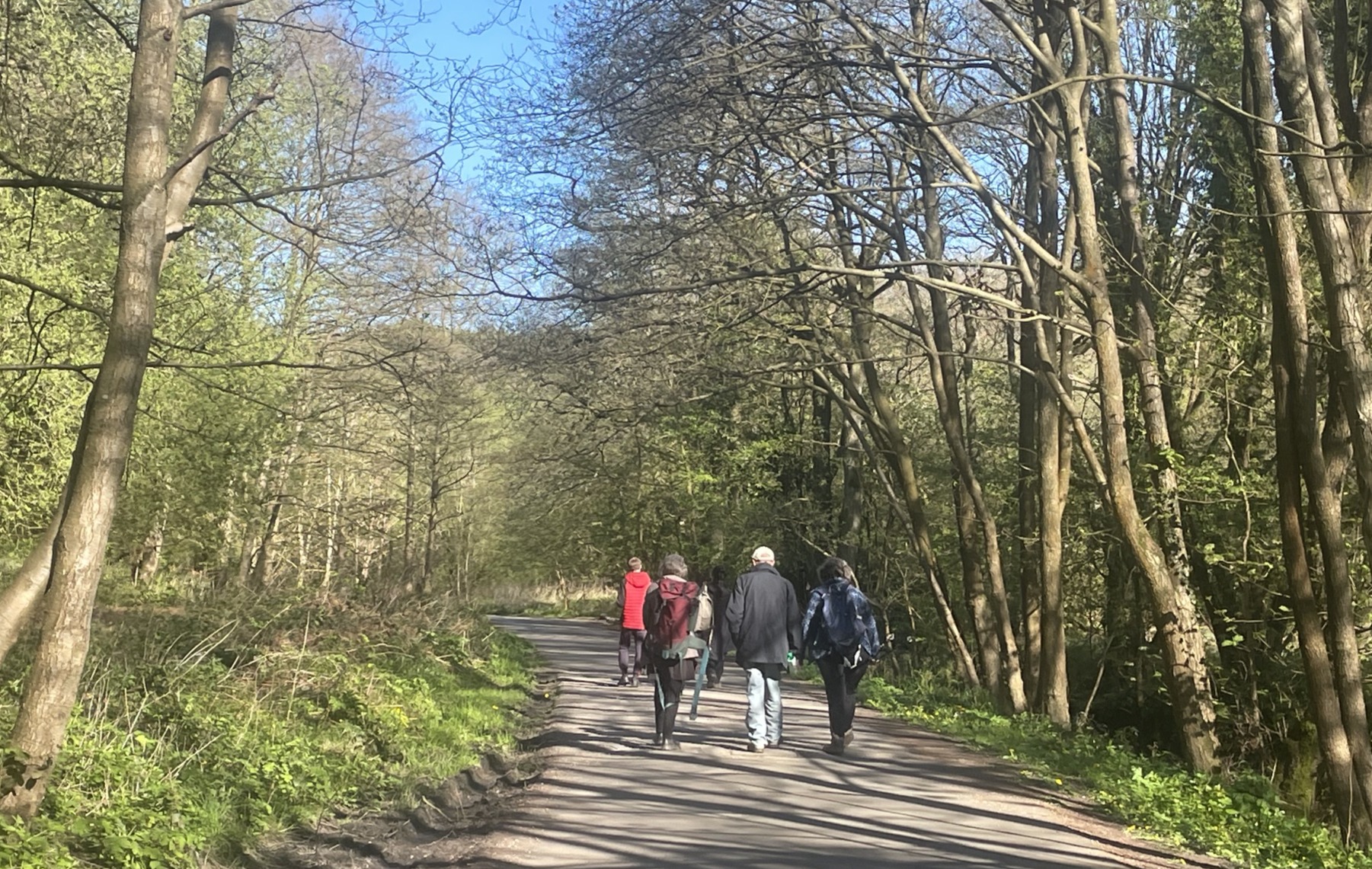 What a wonderful afternoon in nature we had with our Shaping Spaces All Ages Group
