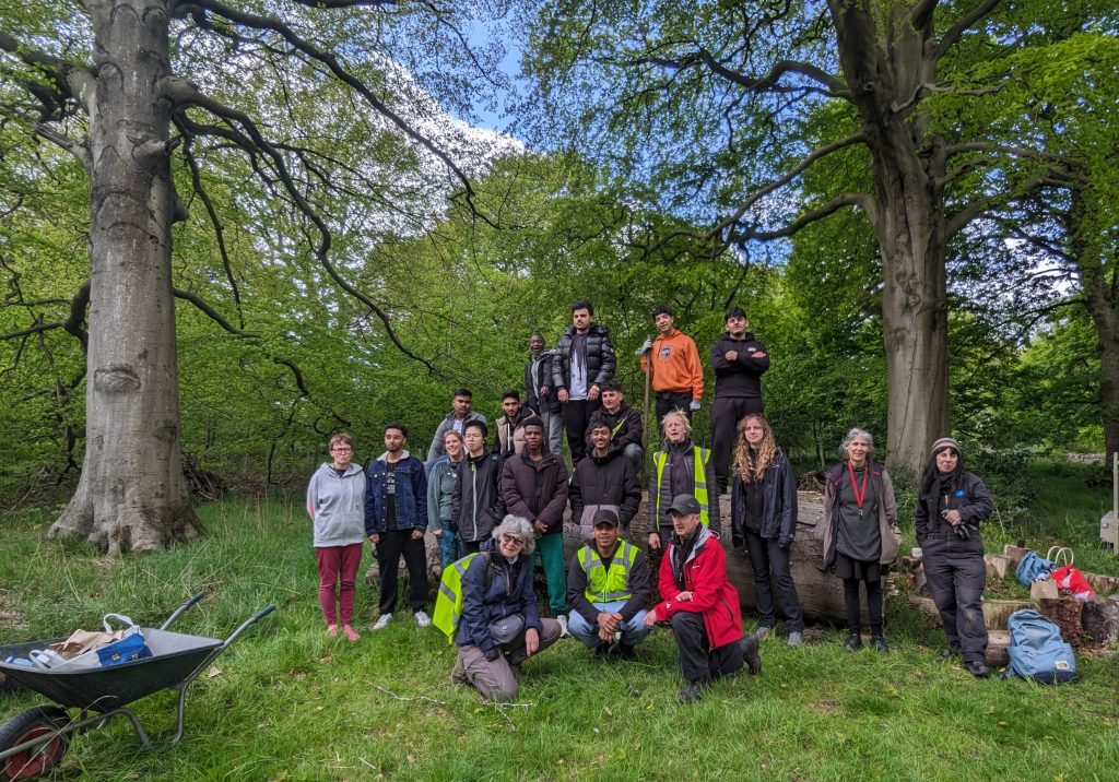 A group of people standing in woodland