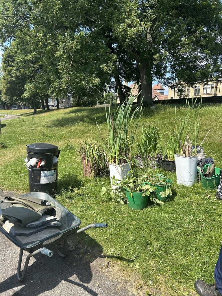 photograph of pond plants waiting to be planted