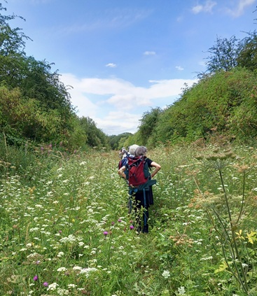 WFV, Bishop Monkton and Ripon City Wetlands, 28.7.26