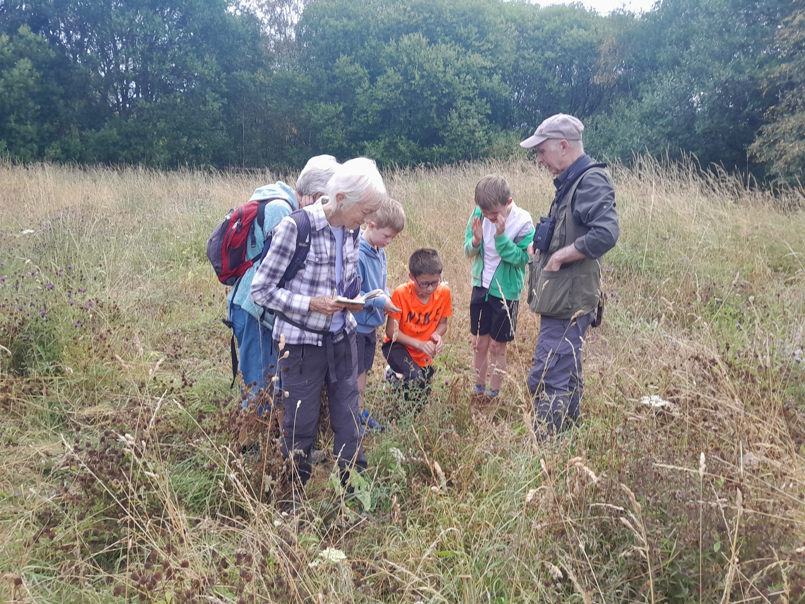 WFV, Raw Nook Local Nature Reserve, Low Moor, 4.8.26